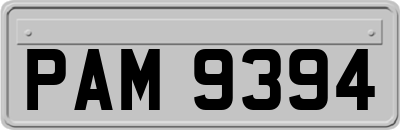 PAM9394
