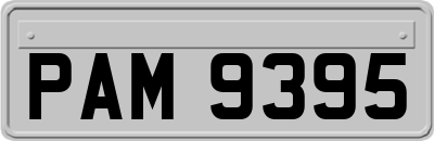 PAM9395