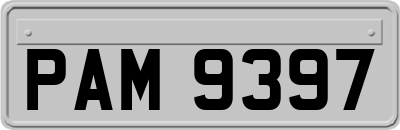 PAM9397