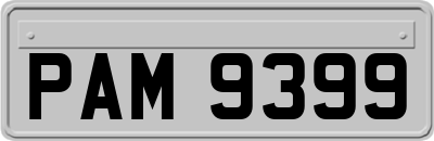 PAM9399