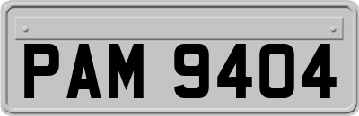 PAM9404