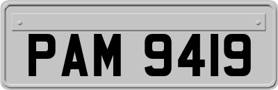 PAM9419
