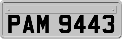 PAM9443