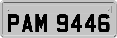 PAM9446