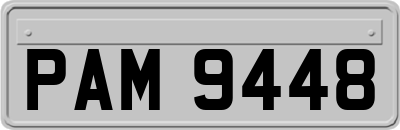 PAM9448