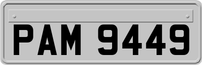 PAM9449