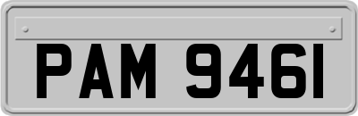 PAM9461