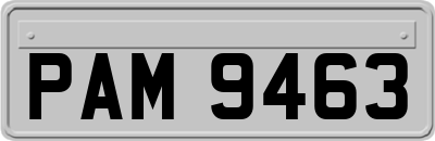 PAM9463