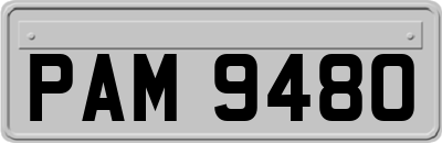 PAM9480