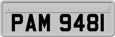 PAM9481