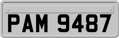 PAM9487