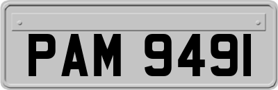 PAM9491