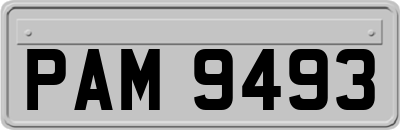 PAM9493