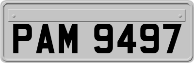 PAM9497