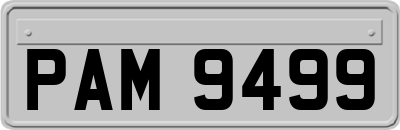PAM9499
