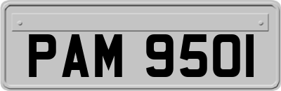 PAM9501