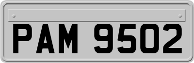 PAM9502