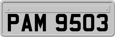 PAM9503
