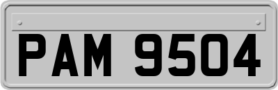 PAM9504
