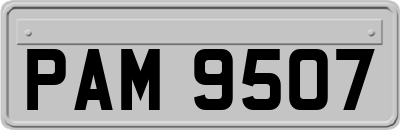 PAM9507