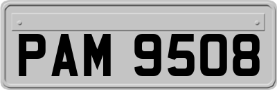 PAM9508