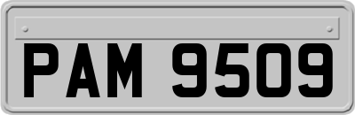 PAM9509