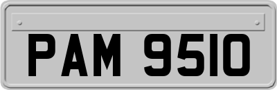 PAM9510