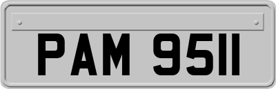 PAM9511