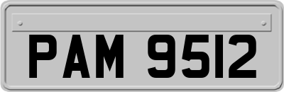 PAM9512