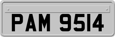 PAM9514