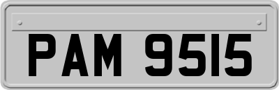 PAM9515
