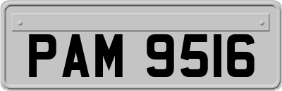 PAM9516