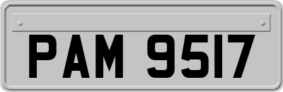 PAM9517