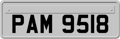 PAM9518