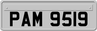 PAM9519