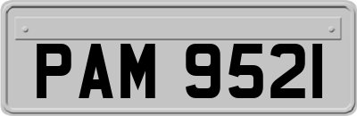 PAM9521