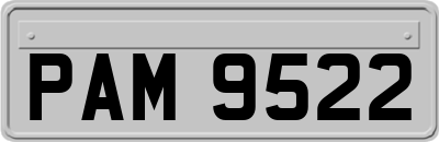 PAM9522