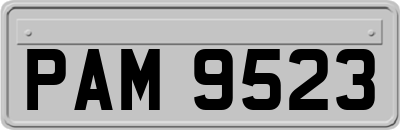 PAM9523