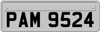 PAM9524