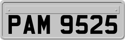 PAM9525