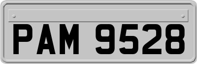 PAM9528