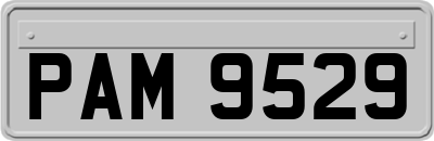 PAM9529