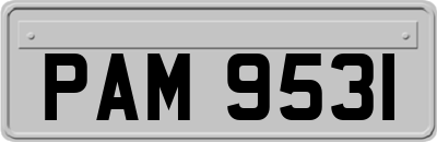 PAM9531