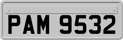 PAM9532
