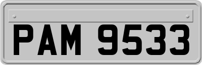 PAM9533