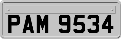 PAM9534