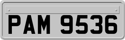 PAM9536