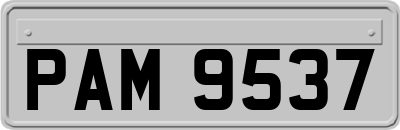 PAM9537