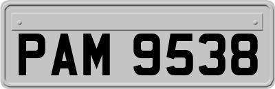 PAM9538