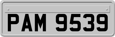 PAM9539